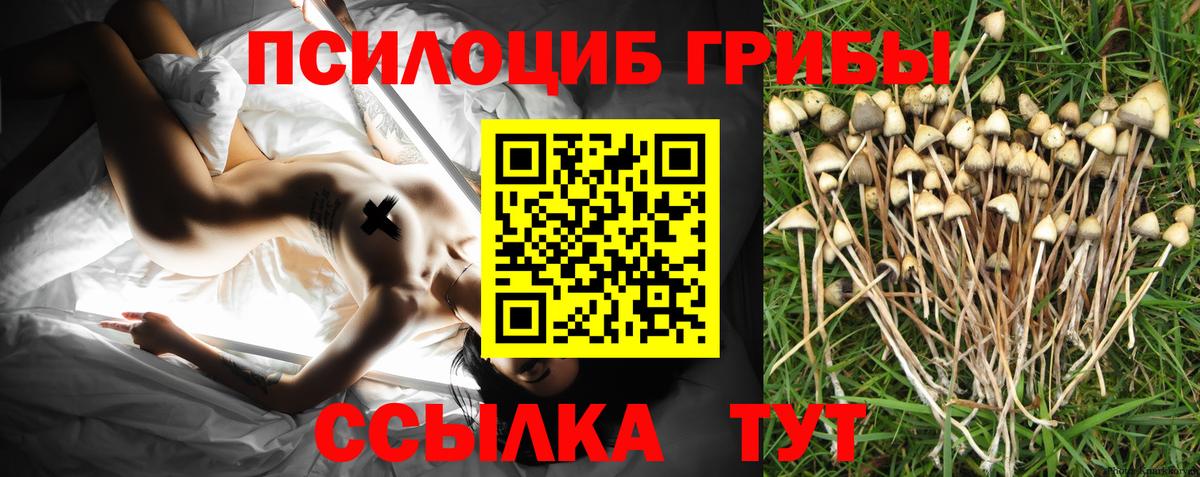 Галлюциногенные грибы ЛСД  Вход с VPN  где купить наркоту  Губкинский 