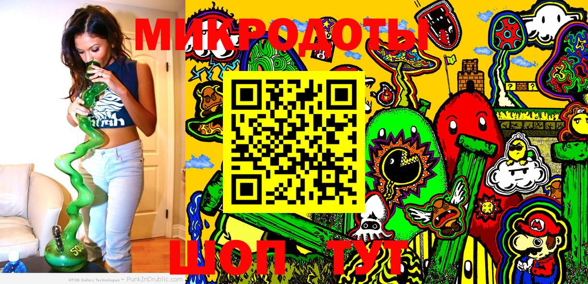 Галлюциногенные грибы Psilocybe Губкинский